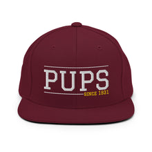 Load image into Gallery viewer, Pups Since 1931 - Flat Snapback Hat